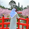 Eny Ulfa 