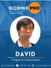 David David