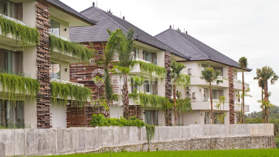 The Double View Mansions - Image 3