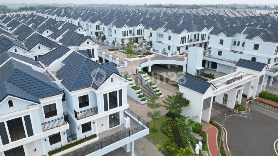 Lavon & Daisan - Image 4