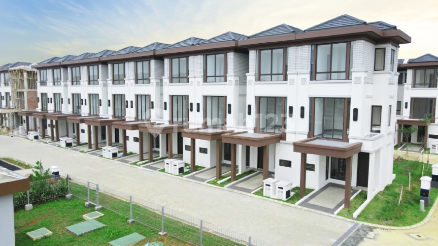 Lavon & Daisan - Image 5