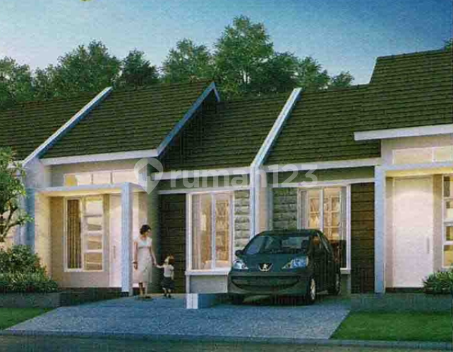 CAMILLIA  di Jade Hamlet