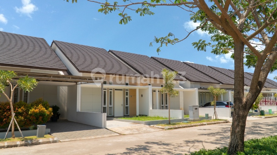 Cherryfield - Image 4