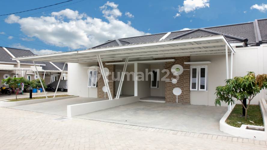 Green Le Mirage - Image 3