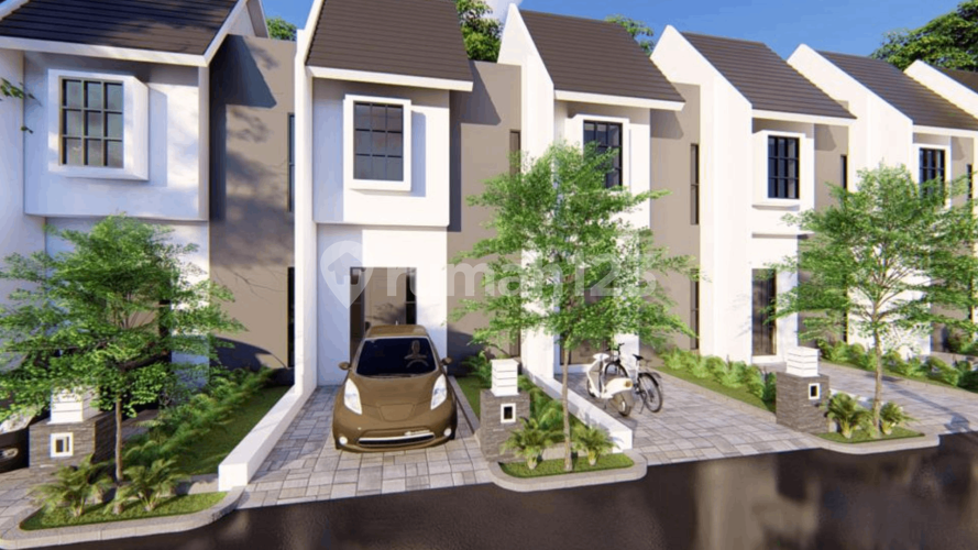 La Diva Greenhill	 - Image 2