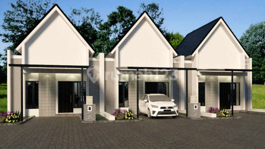 La Diva Greenhill	 - Image 5