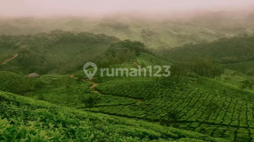 Malang Dreamland - Image 2