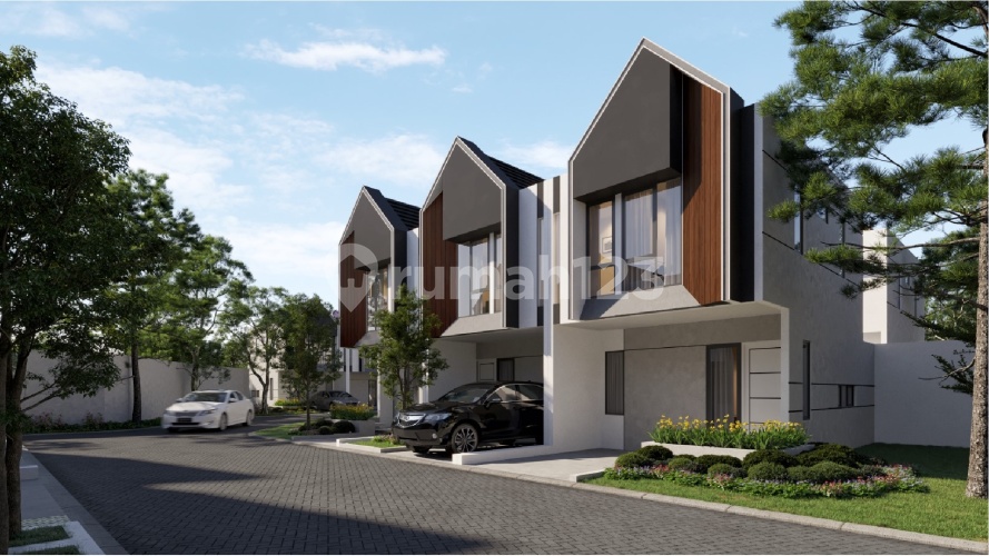 Catha Rempoa - Image 2