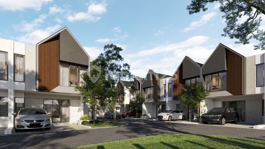 Catha Rempoa - Image 5