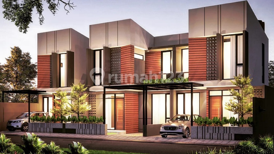 Casavaya Arwana - Image 4