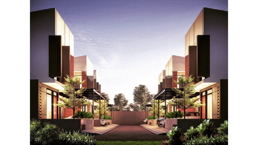 Casavaya Arwana - Image 5