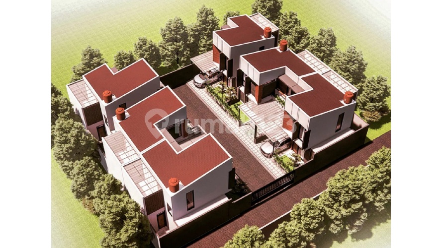 Casavaya Arwana - Image 6