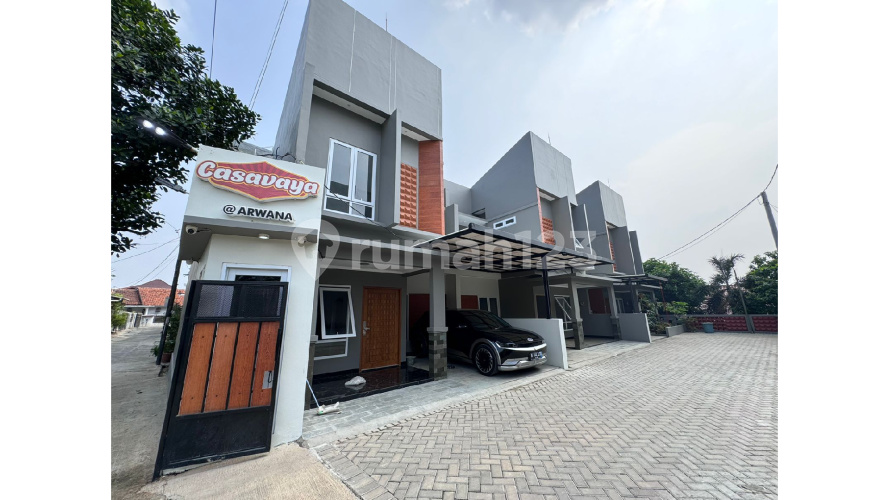 Casavaya Arwana - Image 7