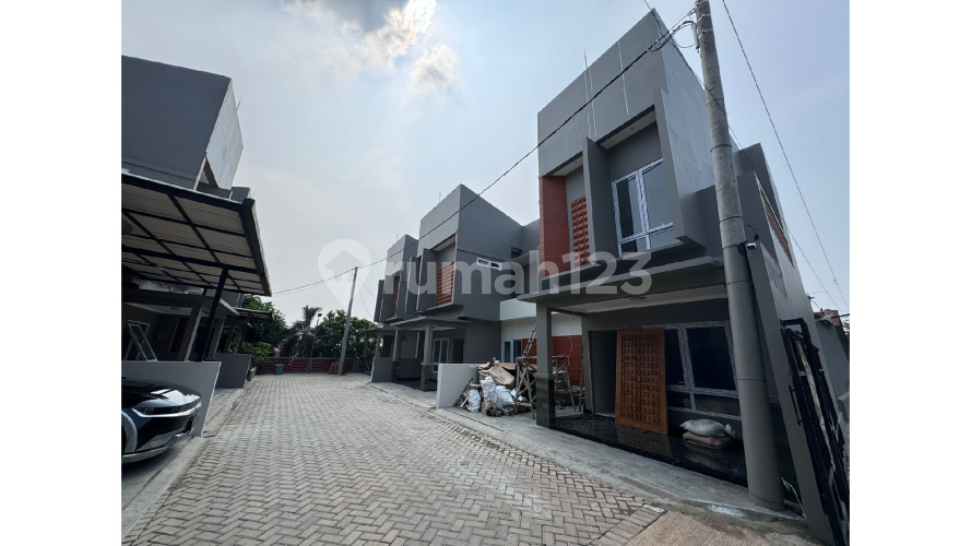 Casavaya Arwana - Image 8