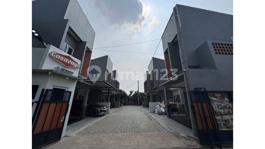 Casavaya Arwana - Image 9