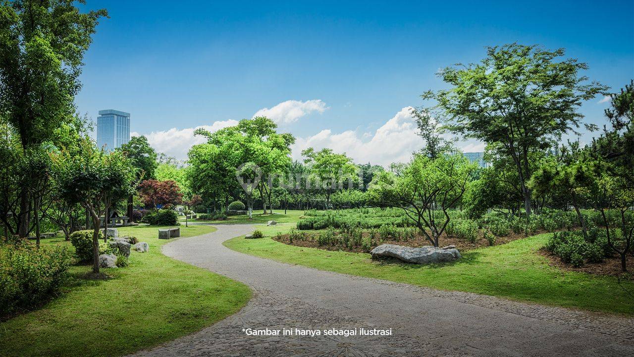 Greenwich BSD