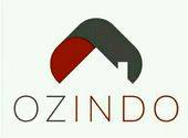 Ozindo logo