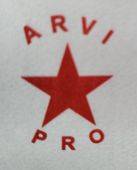 Arvi Pro logo