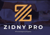 Zidny Pro logo