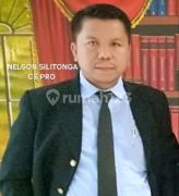 Nelson Silitonga CS Properti
