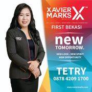 Tetry.XMarks 