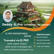 Deddy Setiawan EL pro 