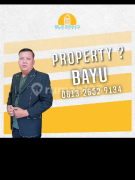 Bayu karfu syafei