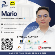 Mario Principal Providence Pro 
