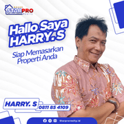 Harry Syahrizal 