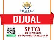 Setya Protea 