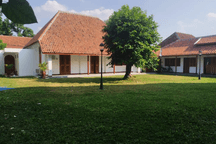Rumah Asri dan Hijau di Kotabaru, kawasan Premium & Jantung kota Yogyakarta.Lingkungan tenang & nyaman.Jarang ada.Untuk investasi, laku keras bila disewakan utk bisnis/ usaha.