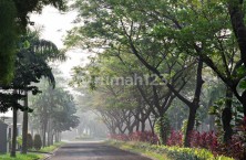 Taman Hijau