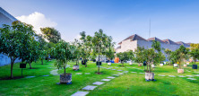 Taman Hijau