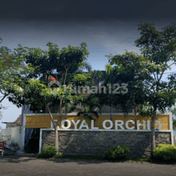 Royal Orchid Sidoarjo