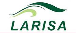 Larisa Property