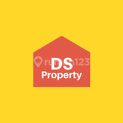 DS Property