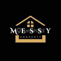 Messy Property