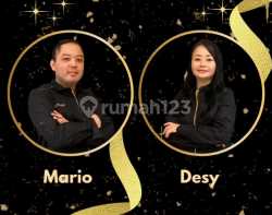 Mario/Desy 