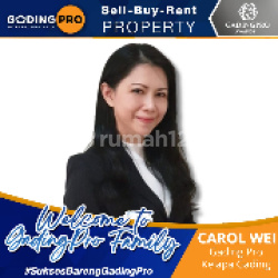 Olin Wei | Agen Properti GadingPro