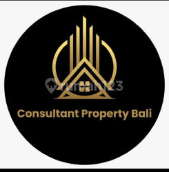 Consultant Property Bali 