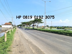 Lily Dwiwati Suhanura