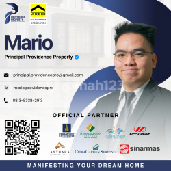 Mario Principal Providence Pro 