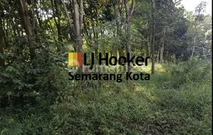 Kavling zona industri di Batang