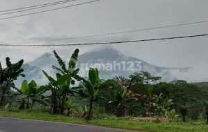 Mojokerto. Trawas.desa Sukosari. Nol Jalan.