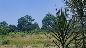 Gambar 5 Rumah | Lokasi Strategis | Cluster Terrace Hill, Jl. Ubud Raya No. 12 - Sentul City