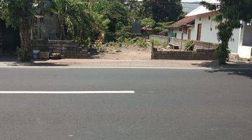 Gambar 1 Land For Sale Main Road Lovina