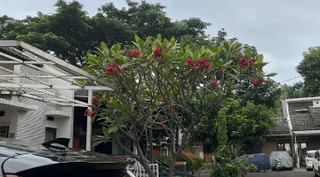 Gambar 1 Rumah Rapi Siap Huni Di Graha Raya Bintaro Tangsel