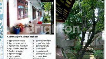 Gambar 5 Rumah 2 Lantai Siap Huni Dilahan Yang Luas