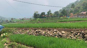 Gambar 1 Di  lahan cantik di Ciampe Bogor Gunung Bundar