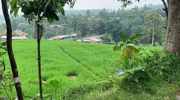 Gambar 3 Di  lahan cantik di Ciampe Bogor Gunung Bundar